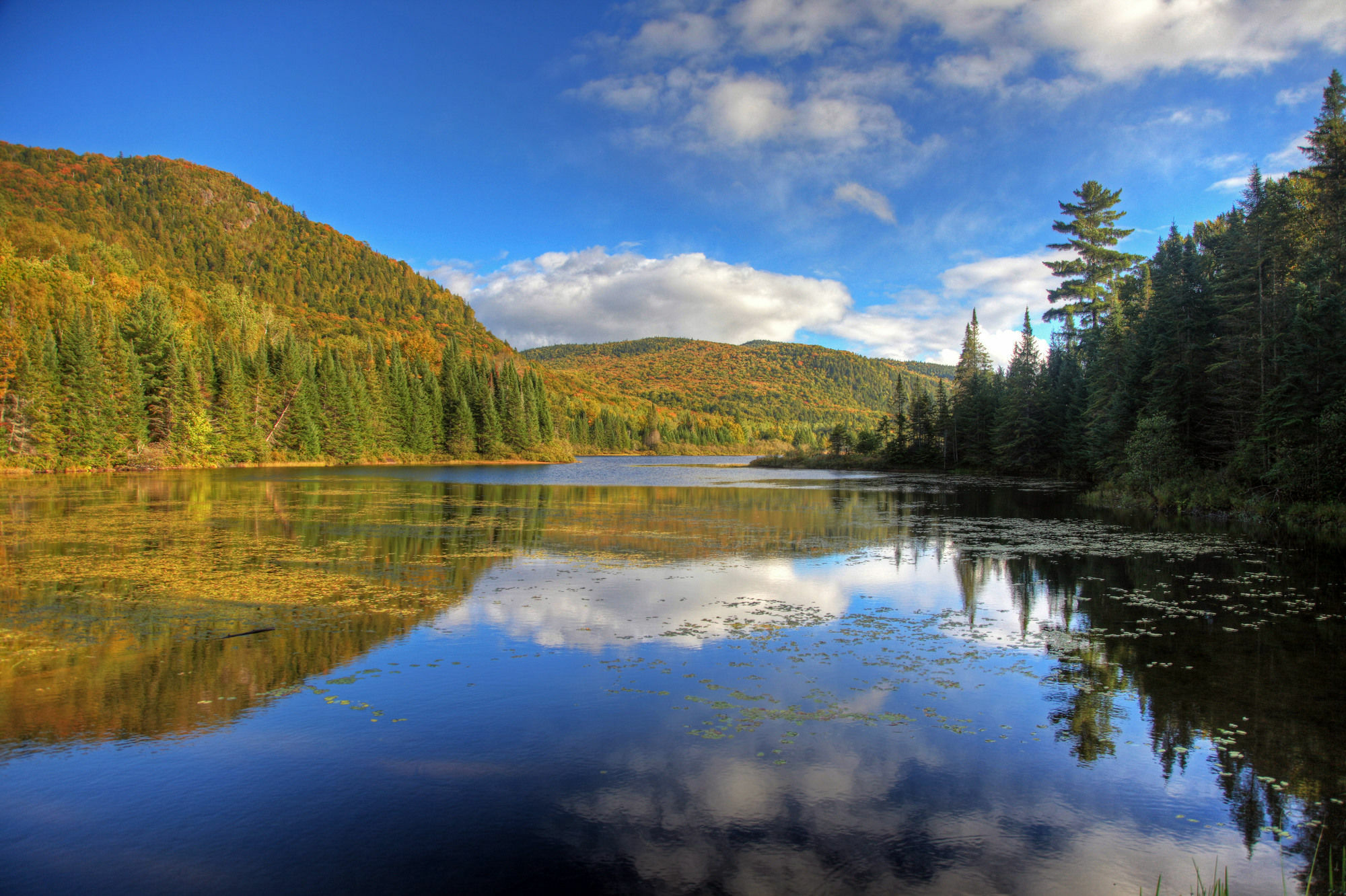 Hotel Vacances Tremblant Mont-Tremblant Eksteriør bilde
